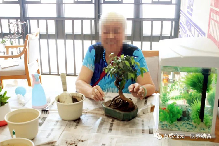 泰成逸园,广东养老院,植物治疗