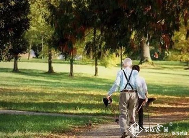 老人散步有这些好处你知道？