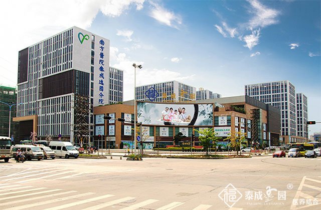 广州市区有多少星级养老院？