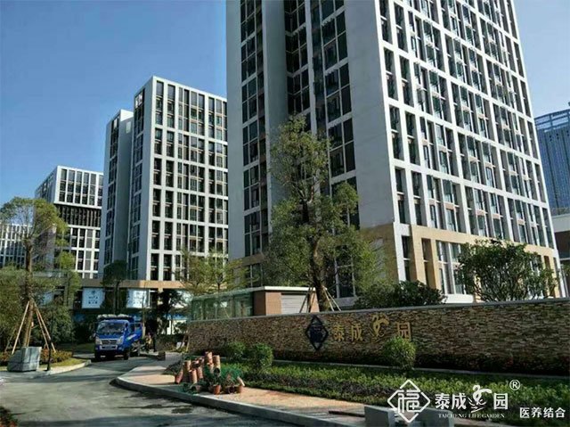 广州市区有多少星级养老院？